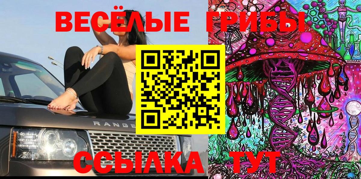 Псилоцибиновые грибы мицелий  Вход с VPN  где можно купить   Усть-Джегута  Галлюциногенные грибы мицелий 