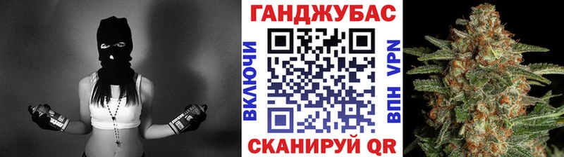 Конопля гибрид  Усть-Джегута 